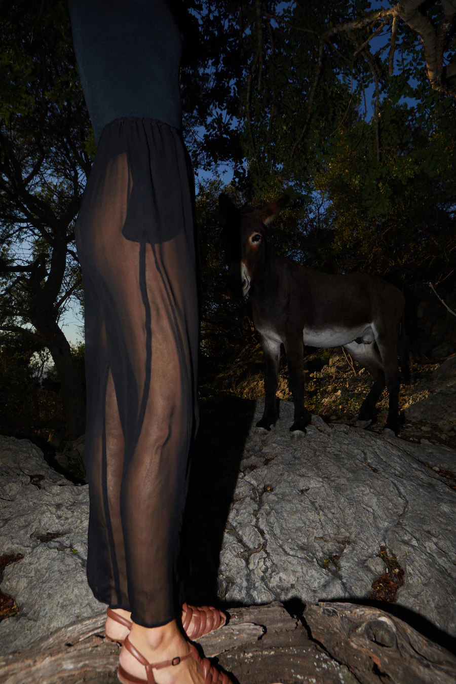 Datura Georgette Judo Pants - Night Black - Image 6