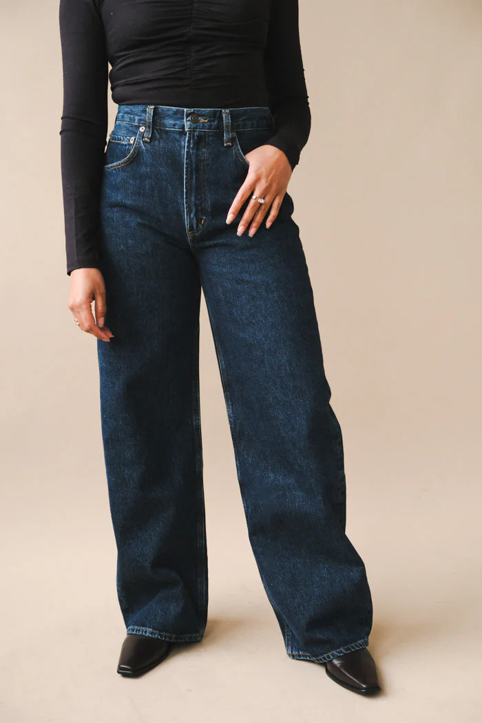 Agolde Low Curve Jean - Pendulum - Image 3
