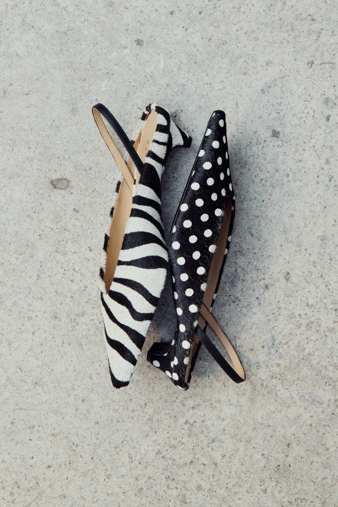 Maguire Floresta Zebra Pump Slingback Mule - Image 2