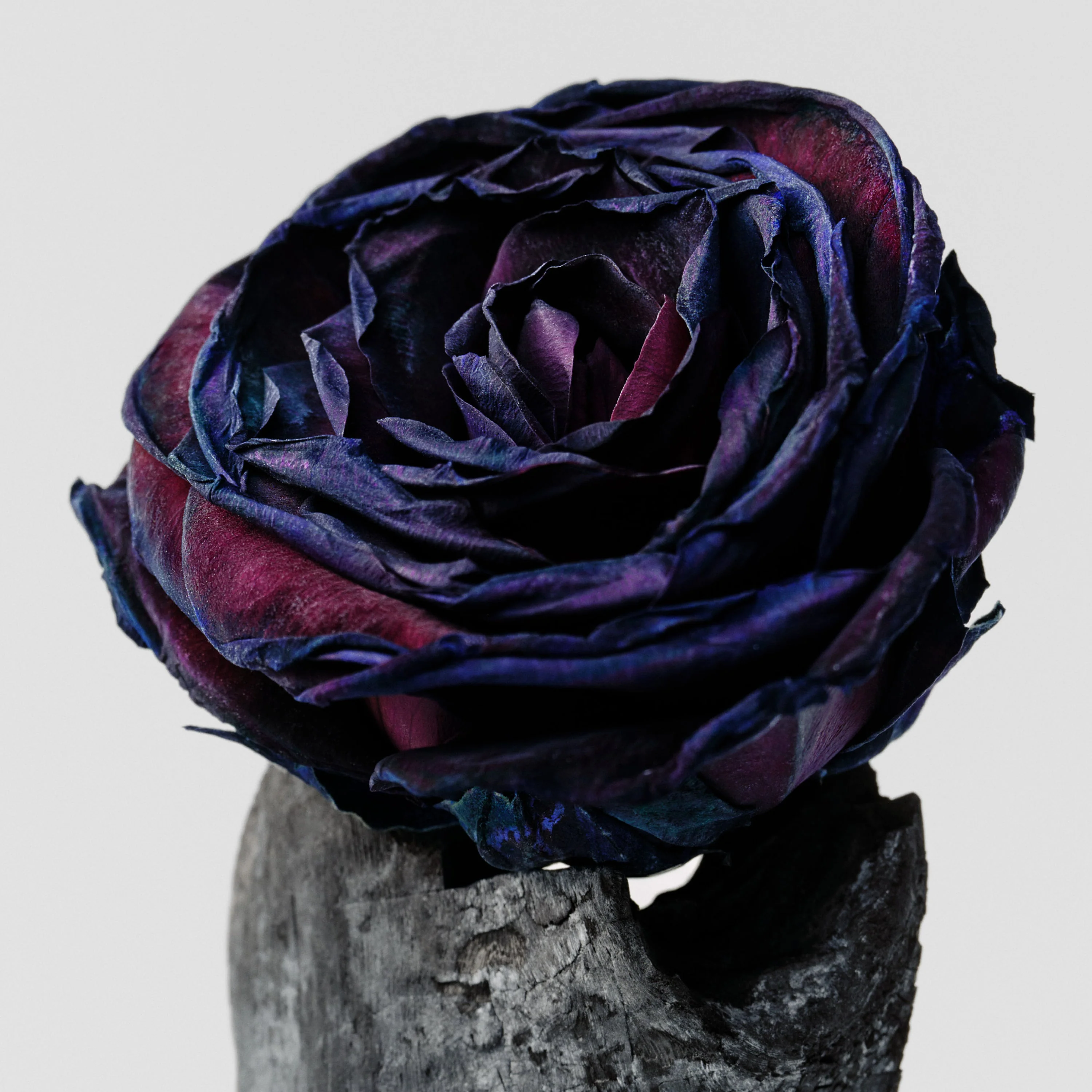 Salt & Stone Black Rose & Oud Body Mist - Image 2