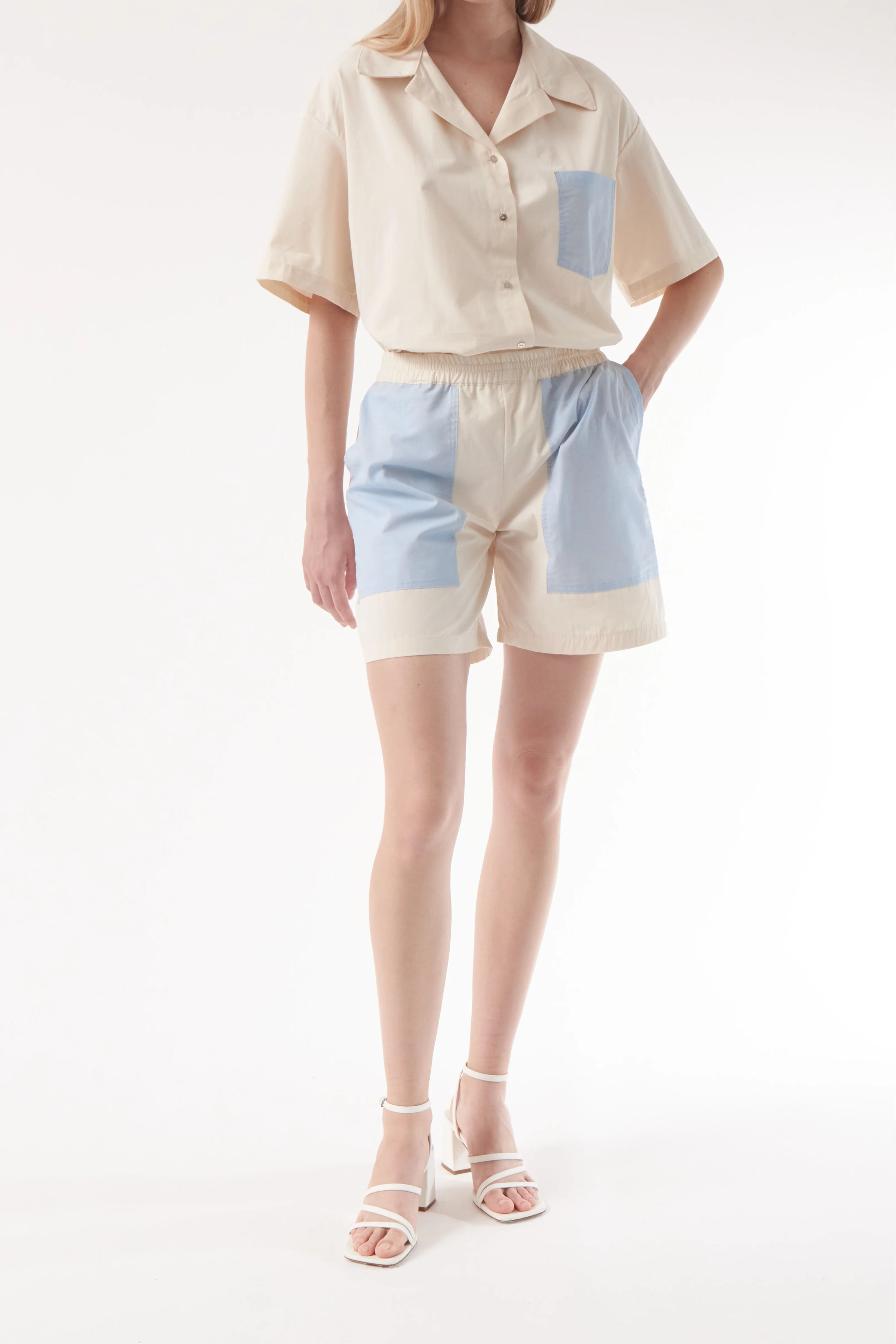 Colmillo de Morsa 25 Short - Image 3
