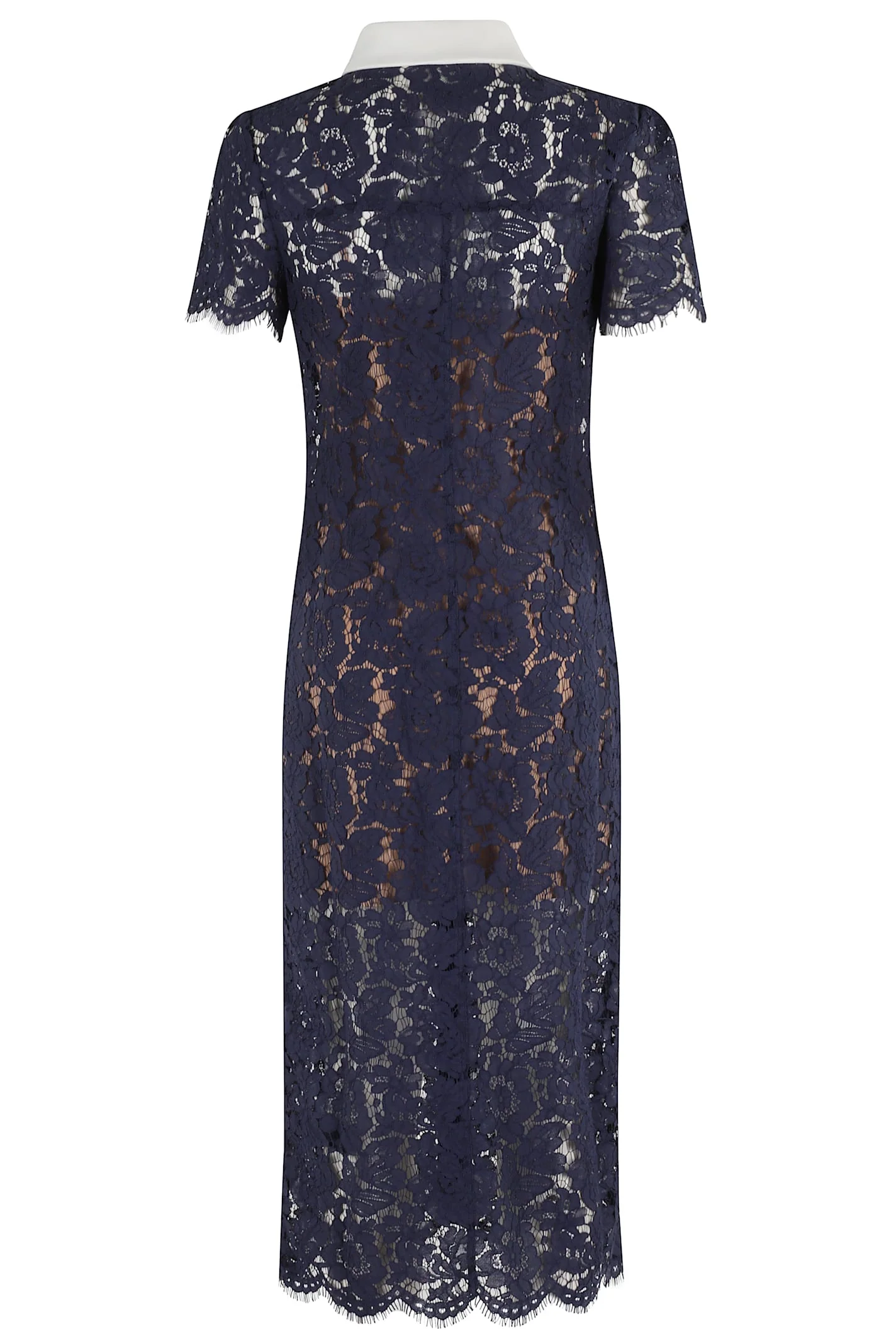 Self-Portrait Lace Contrast Collar Midi Dress - Blue - Image 2