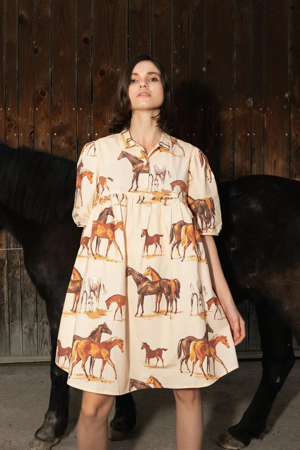 Farewell Frances Horse Gwen Dress - Image 3